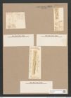 Navicula formica Ehr. (de-Toni-Nr.: Genus 1, Species 693) Zeichnungen Sammlung Grunow Nr. 1270 (NHMW-BOT-W0367926)